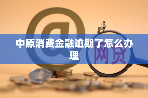 中原消费金融逾期处理指南 如何通过专业金融咨询解决问题